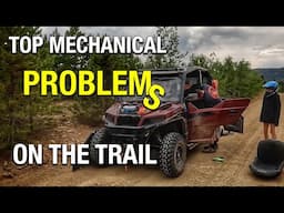 Don’t Get Stuck! Simple Trail Repairs Anyone Can Do