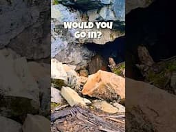Hazards of Exploring an Abandoned 1889 Gold Mine   #mines #abandonedmines #mineexploring