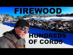 FIREWOOD INVENTORY  HUNDREDS OF CORDS   AT KENS WOODYARD!