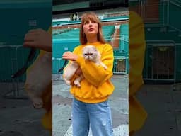 🚘Taylor Swift's Car Collection 😍
