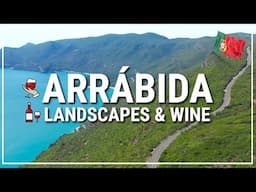 ✅ day trip from LISBON to the region of ÁRRABIDA, including wineries 🍷 🇵🇹 #217