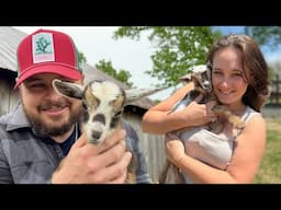 Baby Goat NAME REVEAL!! 🤍 (Three Newborns)