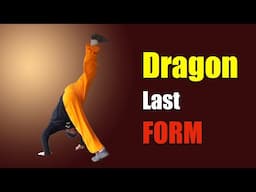 飛手 FEI SHOU  Flying Hand _ Last Form
