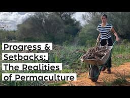 #45 Progress & Setbacks as a Permaculture Designer