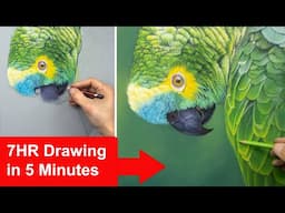 My Pastel Pencil Drawing process - How I do it! Drawing feathers