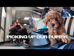 Day in the life | Picking up our puppy & testing the Osmo Pocket 3