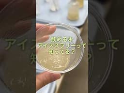 「飲める氷」シャープのアイススラリー冷蔵庫がレンタル開始へ