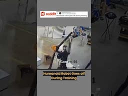 Humanoid robot goes off during training