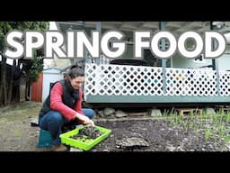 How to Get Early Spring Vegetables & March 2025 Garden Update