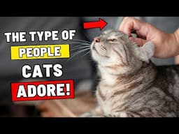 Cats Remember People Who Do These 9 Things – Forever