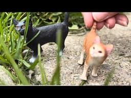 A Cat Story //Part 7// cats attack?!