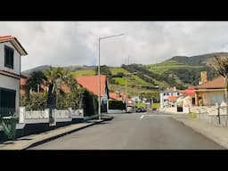 15 dias sem ir  ao terreno ver os Animais Queram vir Comigo ?vamos ver a Diferença das Porquinhas