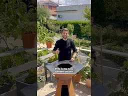 Reusing Resources & avoiding Waste ♻️ Small Garden Example 💚 #gardening #shorts #sustainability