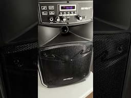 Party speaker with MICs