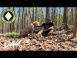 Man's Best Backpacking Friend! - Benton MacKaye - Day 3