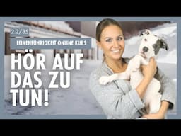 Dieser EINE Fehler ruiniert dein Hundetraining SOFORT ändern! | Kostenloser Hundekurs | Tag 2/2
