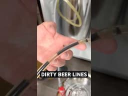 How to Clean Dirty Beer Lines