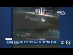 Police search for car involved in fatal hit-and-run