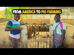 Why He Left America After 17 Years to Build One of the Biggest Pig Farms in Ghana #pigfarming  #pig