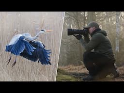 Can NIKON Z 400mm F4.5 Really Improve Your Bird Photography Skills?