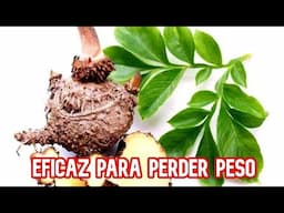 ¿QUÉ ES EL GLUCOMANANO?