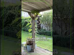 Planter pour rafraîchir 🌿 | 3 idées pour un jardin beau et frais | Leroy Merlin