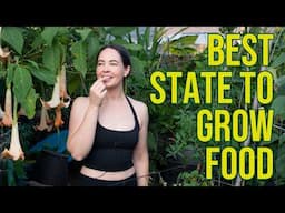 7 Reasons Florida is the Best State to Start a Food Forest