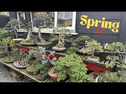 What's Happening in My Spring Garden in 2025?