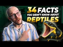 34 NEW Reptile Facts