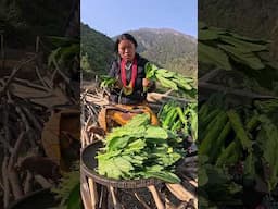 #organicvegetables