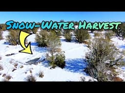 The High Desert Advantage Of Rainwater Harvesting