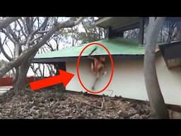 Top 15 Mysterious Scary Videos the Internet Still Can’t Solve