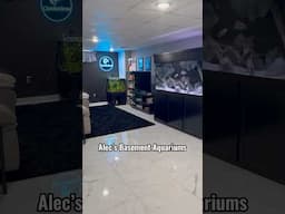 All of Alec’s Aquariums (Tour)