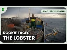 Skipper Jay Races to Fill a Huge Order | Giant Lobster Hunters