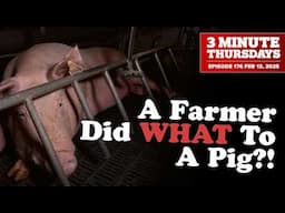 A Farmer Did WHAT To A Pig?!