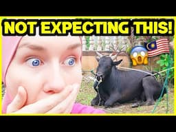 SCOTTISH GIRL reacts to FIRST RAYA HAJI in MALAYSIA! 😱🇲🇾