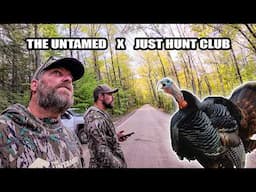 Late Morning Gobbler Comes In Hot! (The Untamed x Just Hunt Club)