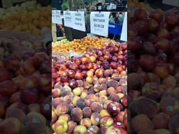 MISSISSAUGA FLEA MARKET - Fruit Market, full video link below #ontario #toronto