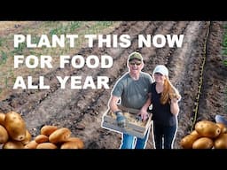 Growing 170,000 Calories of Potatoes | Plus Planting Grapes, Onions, and Strawberries