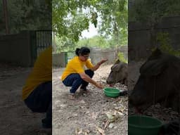 Zindagi ka bhav seva❤️#shortvideo #lifestyle #shorts #youtubeshorts #viralshorts #helping #short