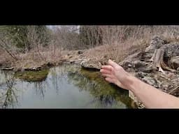 Opening up the ecosystem pond for the year