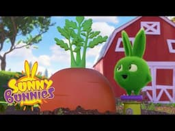 🐰 Super Bunny Fun ⚡ Sunny Bunnies | Cartoons for Kids