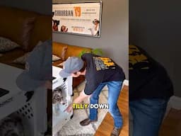 FAST & EASY Way To Fix Your Dog's Crate Issues!