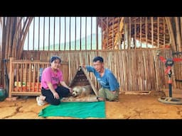 A Disabled Father's Amazing Creation - Building a New Home for a Poor Dog with His Daughter