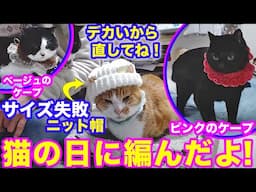 2025ｰ2−23 保護猫たちの「ほっこり猫ライブ」ハッチ＆マック＋黒猫めめ＋がんサバイバーママ Cat live Stream in Japan -Cat Life TV