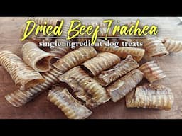 Dried Beef Trachea | Easy Treats for your Dogs
