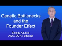 A Level Biology Revision (Year 13) "Genetic Bottlenecks and the Founder Effect"