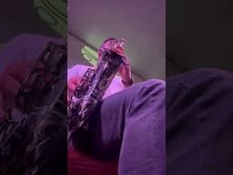 Improviso em Valerie 🎷