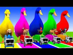 Long Slide Game With Elephant Gorilla Buffalo Hippopotamus Tiger 3d Animal Game Funny 3d Animals