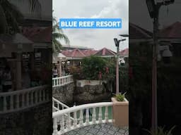 blue reef resort
